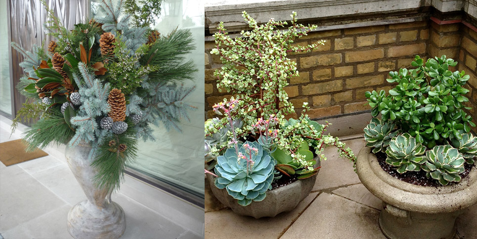 Emblem-Planters-1