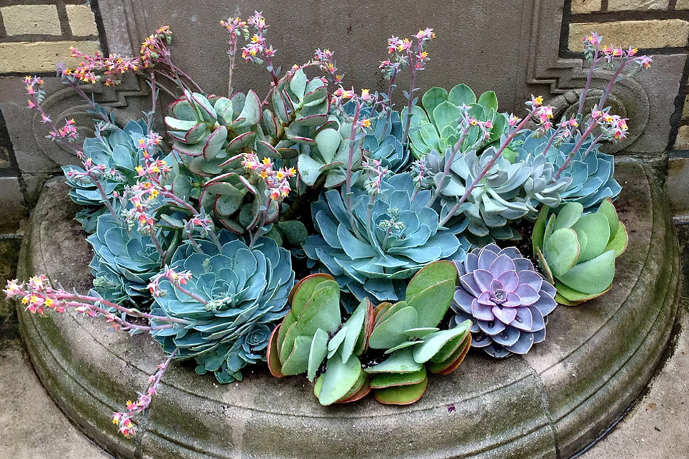 Emblem-Planters-2