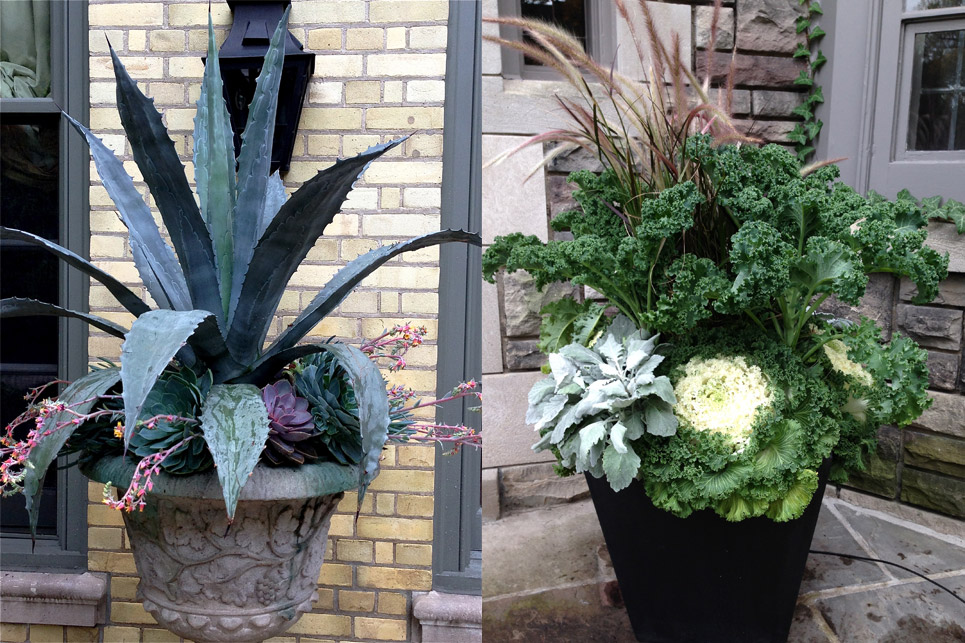 Emblem-Planters-3