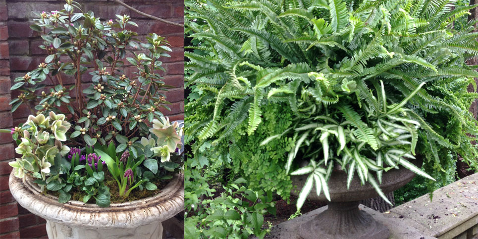 Emblem-Planters-4