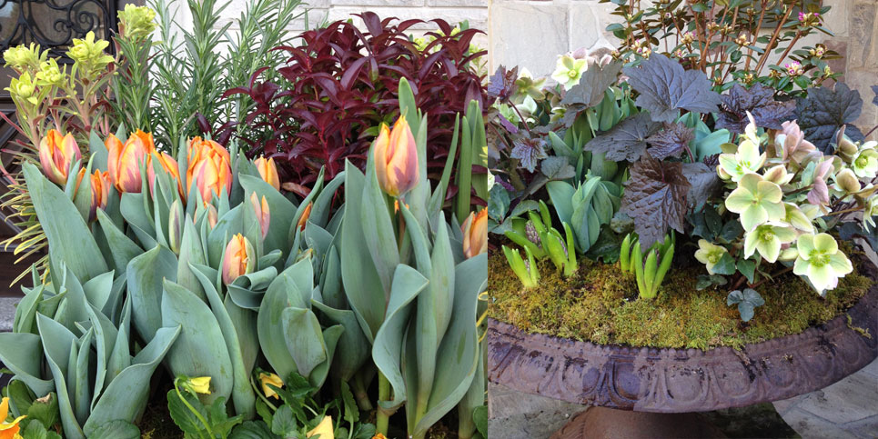 Emblem-Planters-5